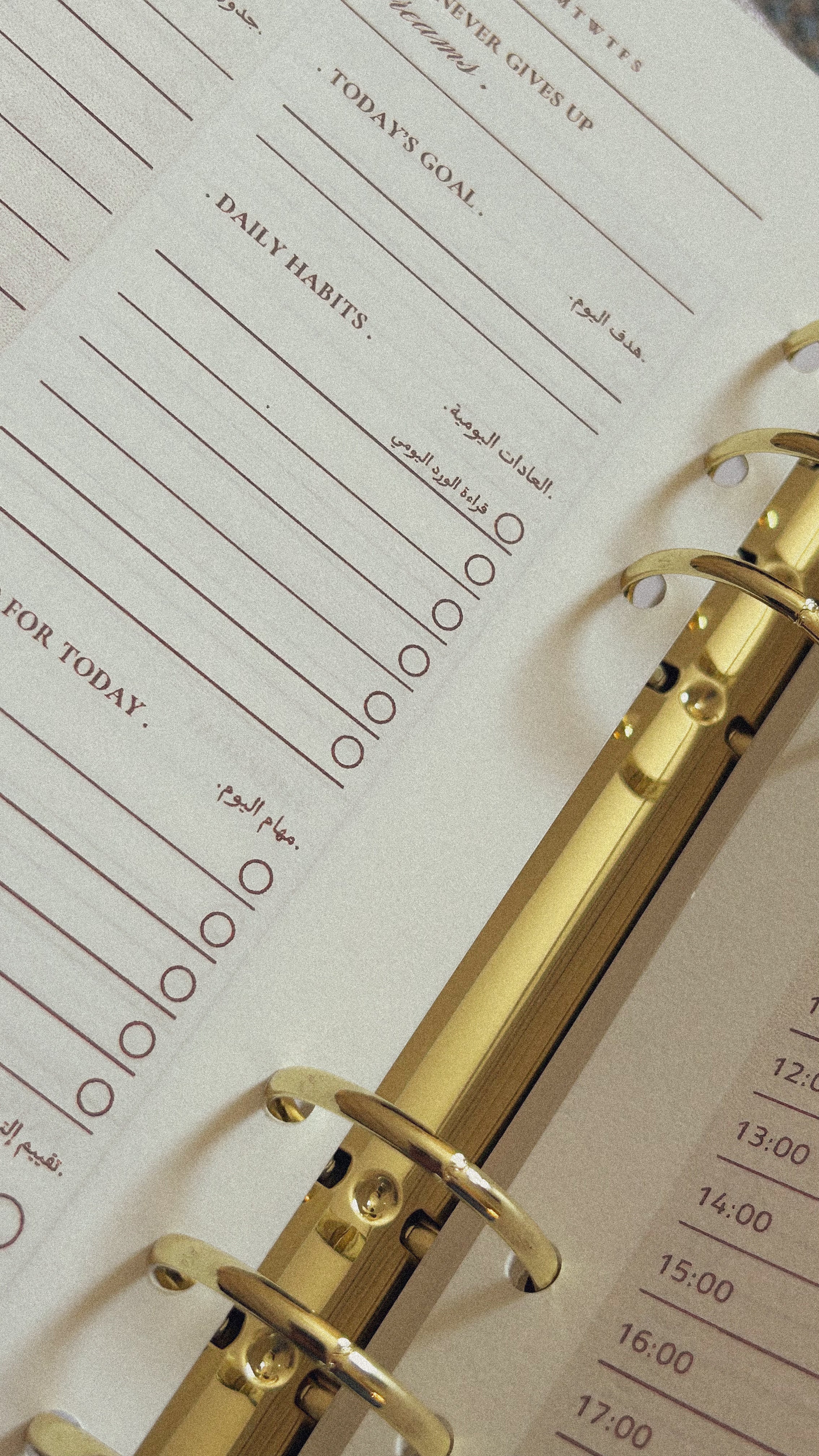 The success planner
